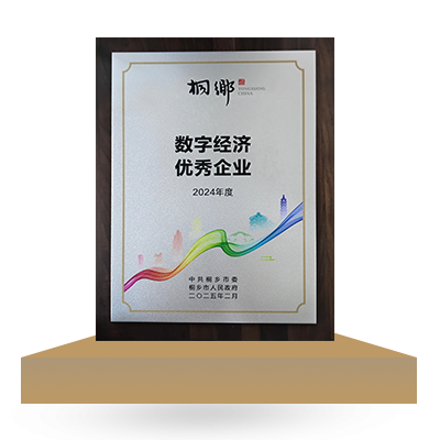 數(shù)字經(jīng)濟(jì)優(yōu)秀企業(yè)